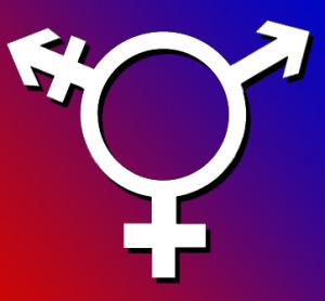 transgendersymbol